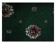Dark Green Patterned Carpet 10.8ft x 7.5ft approx.....