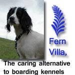 Fern Villa: EXCLUSIVE home boarding for Toy & Small dogs
