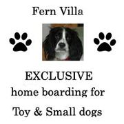 Fern Villa: EXCLUSIVE home boarding for Small dogs
